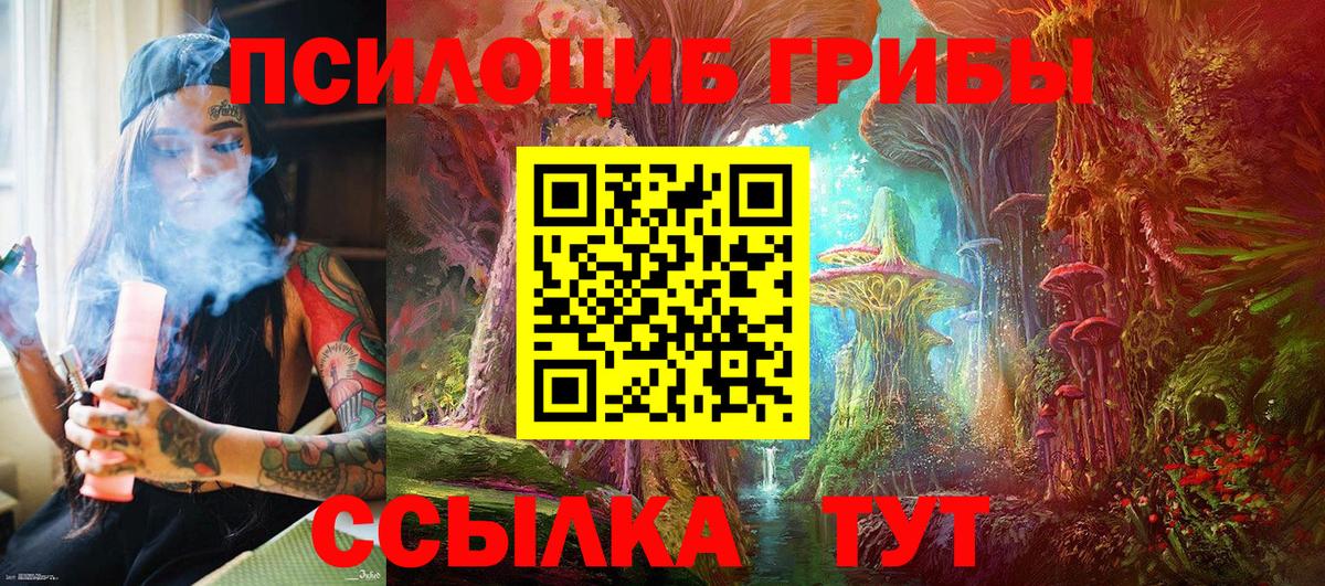 Галлюциногенные грибы MAGIC MUSHROOMS Кашира